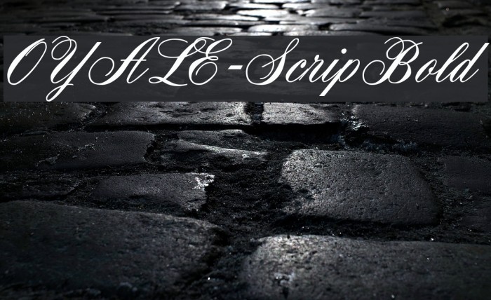 OYALE-ScripBold Font examples