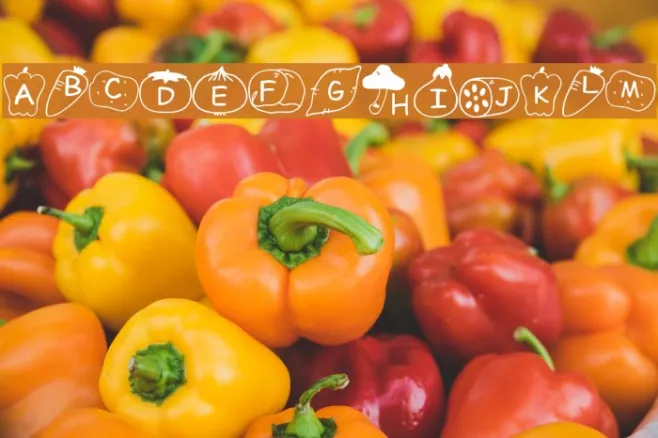 Oyachai Font Example 3