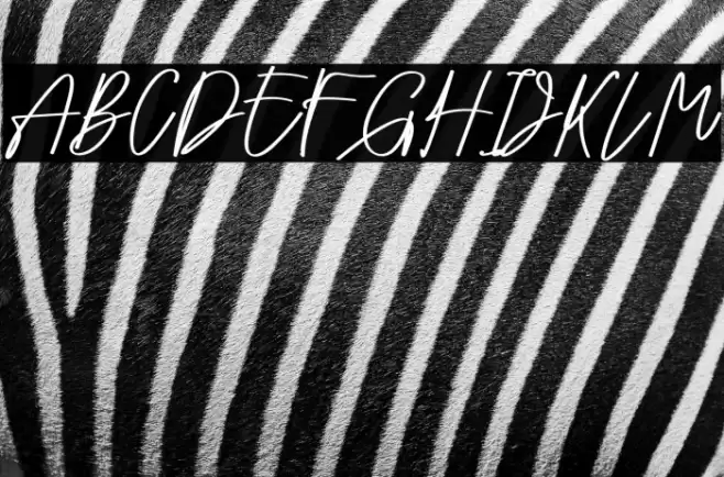 Oyange Font examples