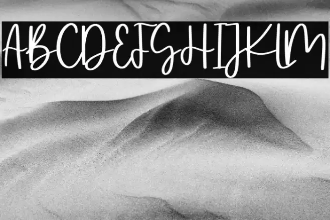 Oyscake Demo フォント examples