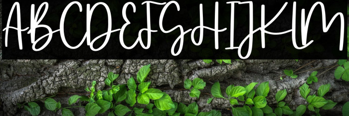 Oyscake Demo Example 2