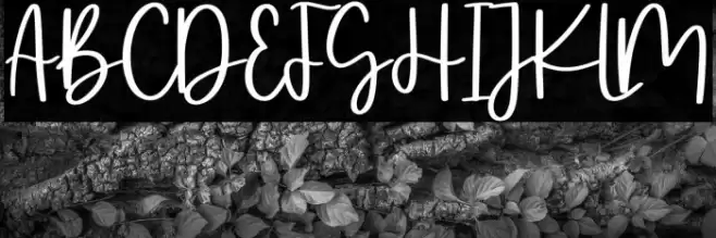 Oyscake Demo フォント examples