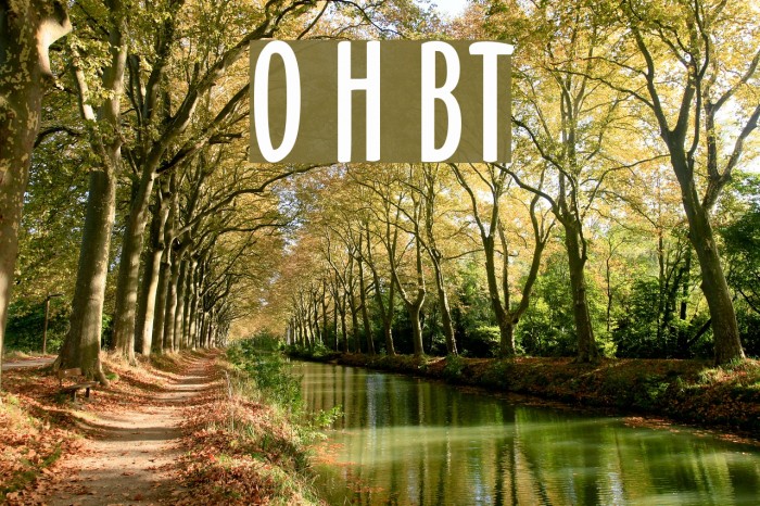 Oz Handicraft BT Example 1