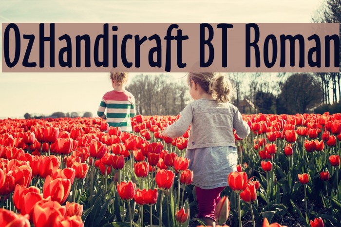 OzHandicraft BT Roman Schriftart examples