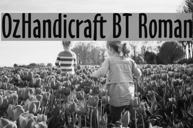 OzHandicraft BT Roman Schriftart examples