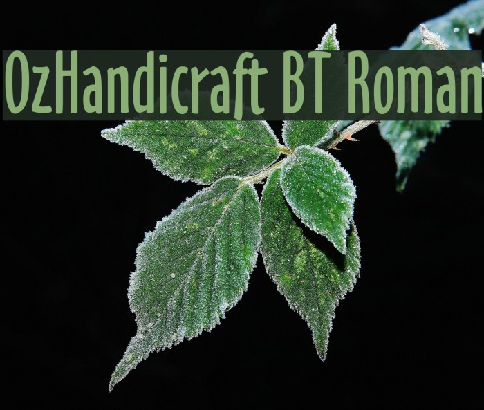 OzHandicraft BT Roman Schriftart examples