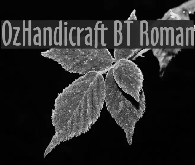 OzHandicraft BT Roman Schriftart examples