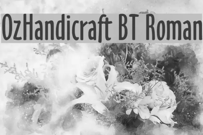 OzHandicraft BT Roman Schriftart examples