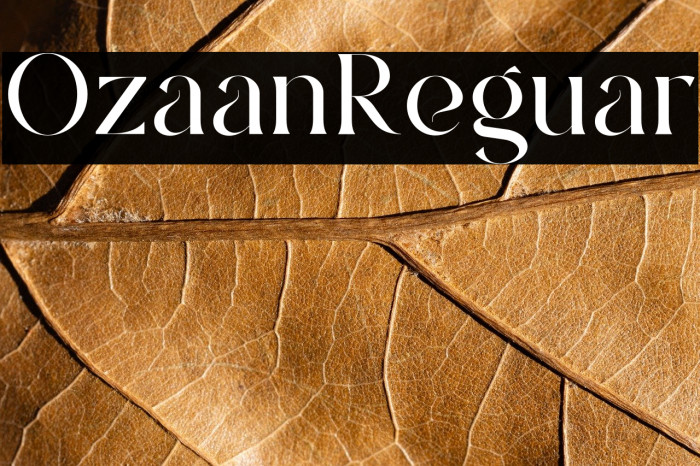 Ozaan Regular Example 1