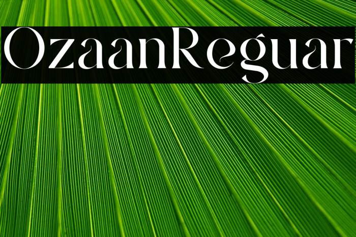 Ozaan Regular Example 2