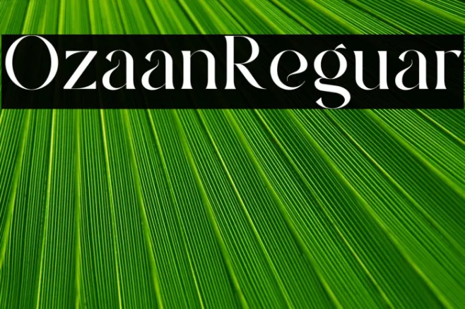 Ozaan Regular Example 2