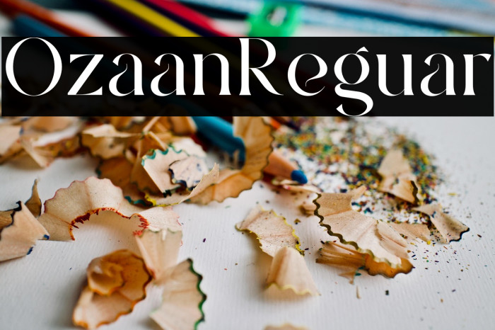 Ozaan Regular Example 3
