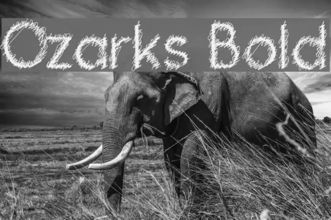 Ozarks Bold Font examples