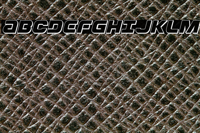 Ozda 3D Italic Example 1