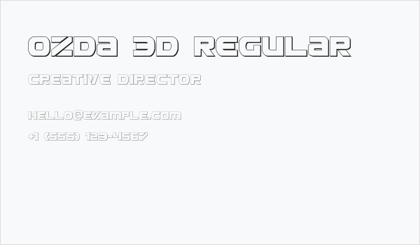Ozda 3D Regular Business Card