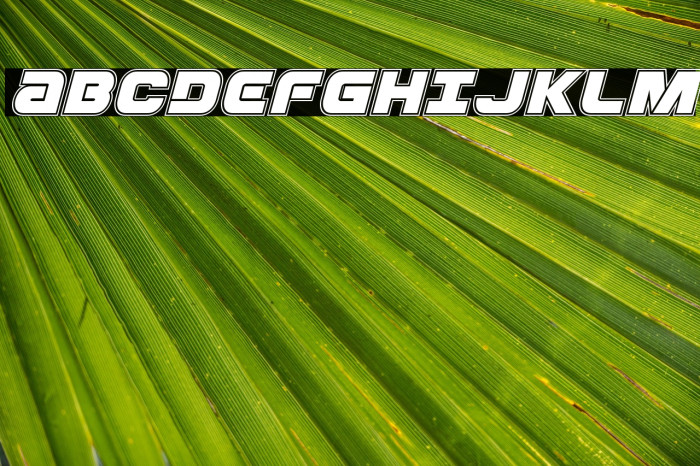 Ozda Academy Italic Example 1