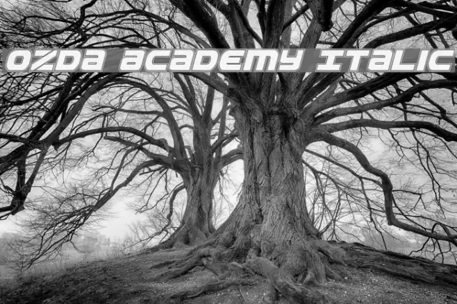 Ozda Academy Italic Schriftart examples