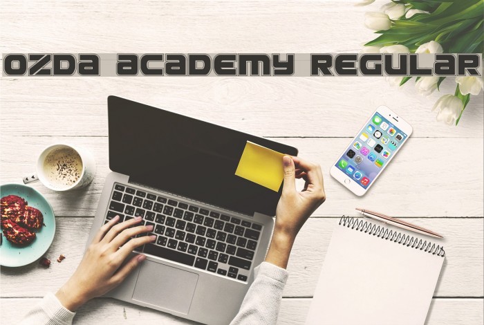 Ozda Academy Regular Example 1