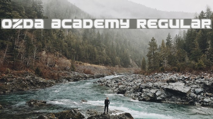 Ozda Academy Regular Example 3