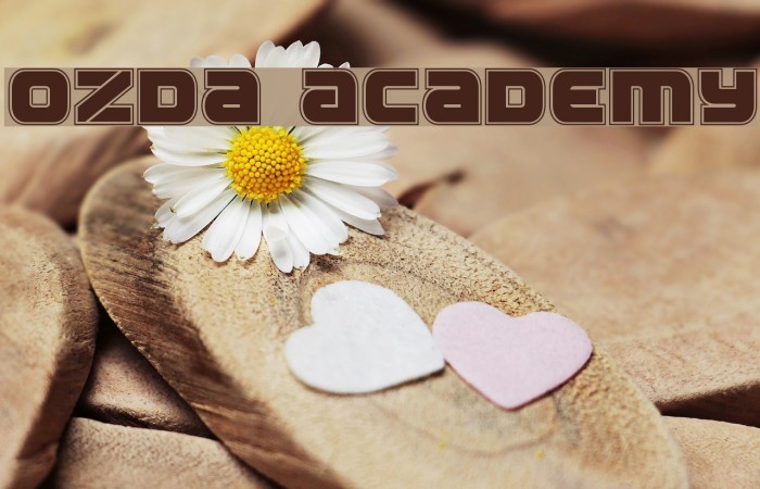 Ozda Academy Example 2