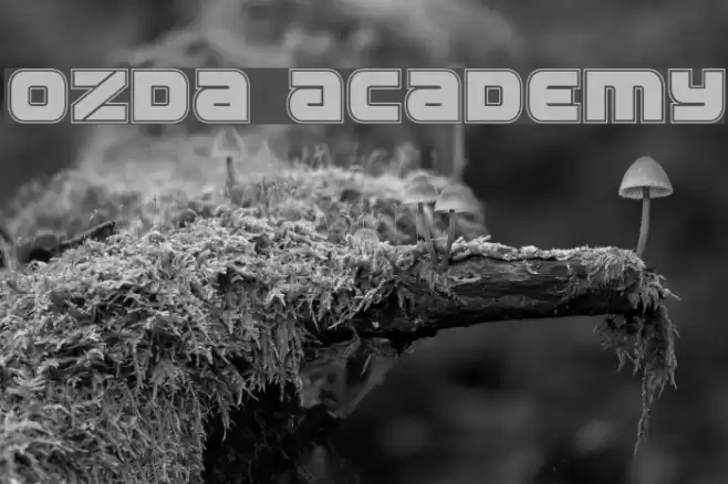 Ozda Academy Font examples