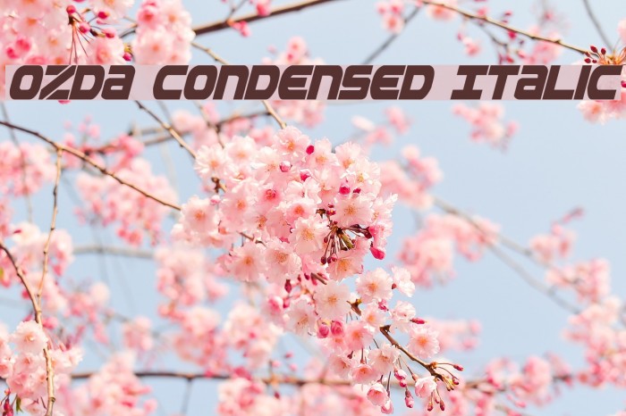 Ozda Condensed Italic Font examples