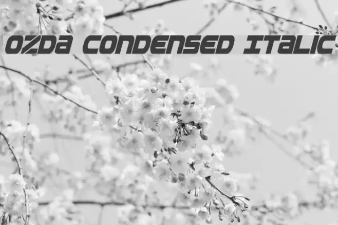 Ozda Condensed Italic examples