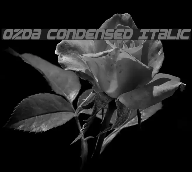 Ozda Condensed Italic examples