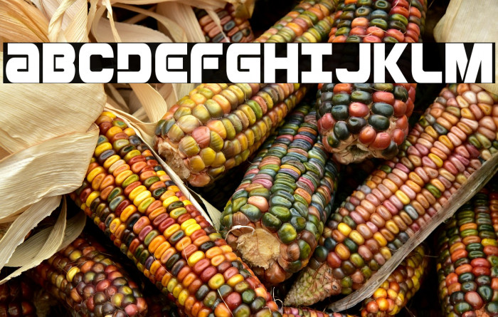 Ozda Condensed Example 1