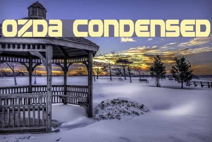 Ozda Condensed Example 3