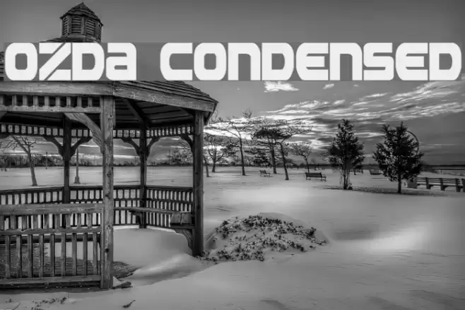 Ozda Condensed Font examples