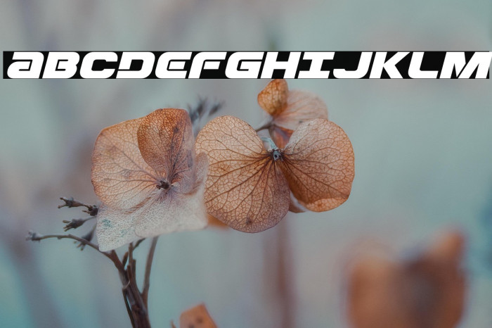 Ozda Expanded Italic Example 3