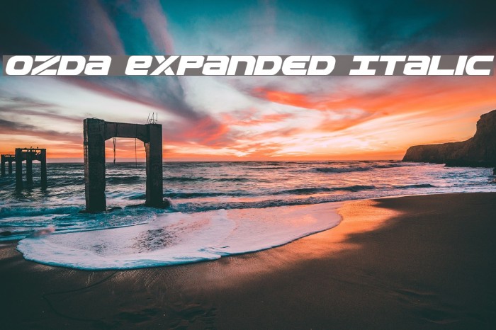 Ozda Expanded Italic Font examples