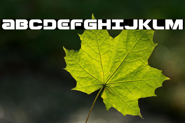 Ozda Expanded Example 1