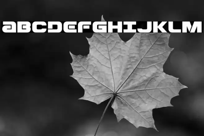 Ozda Expanded Font examples