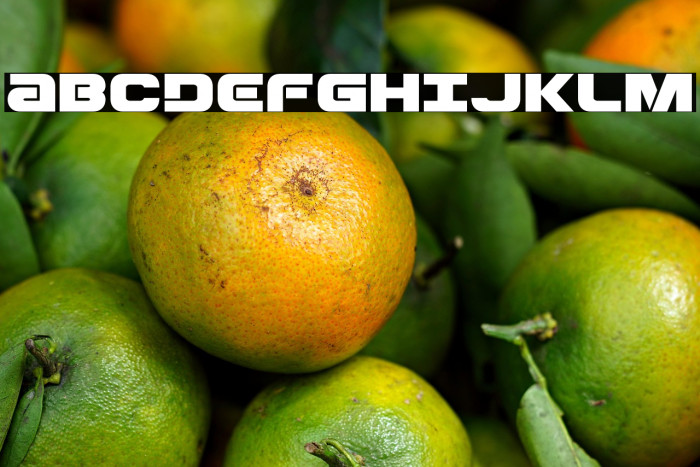 Ozda Expanded Example 2