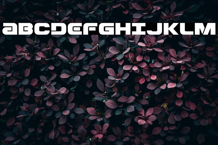 Ozda Expanded Example 3