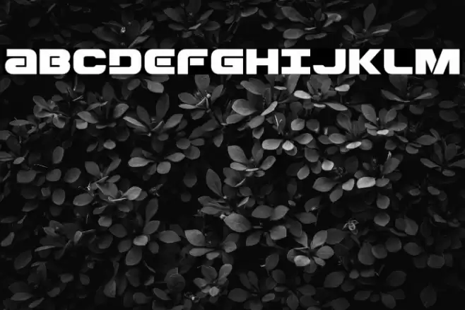 Ozda Expanded Font examples