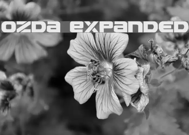 Ozda Expanded Font examples