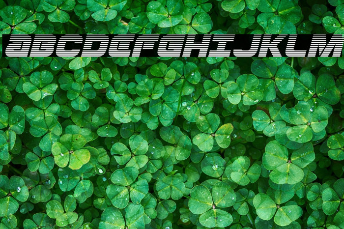 Ozda Gradient Italic Example 3