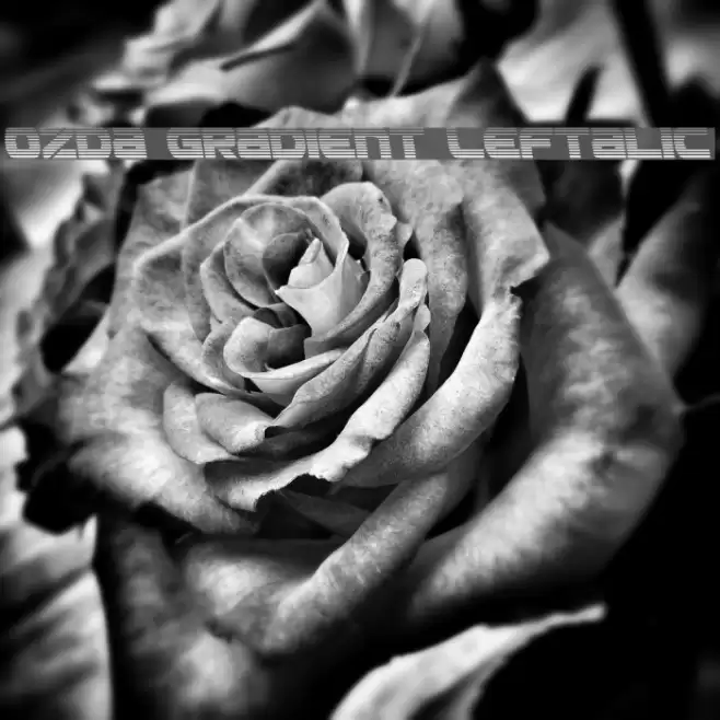 Ozda Gradient Leftalic Font examples