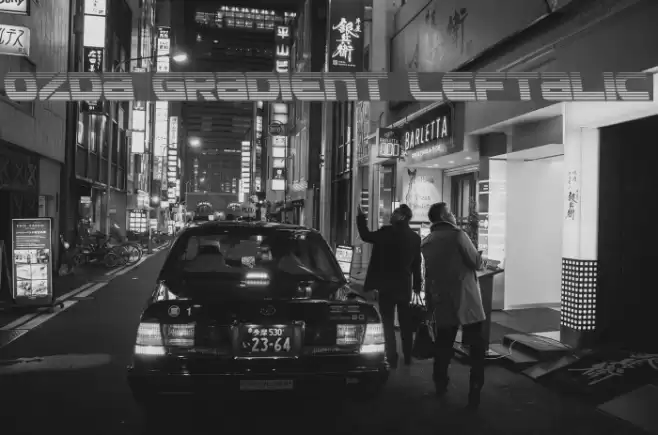 Ozda Gradient Leftalic Font examples