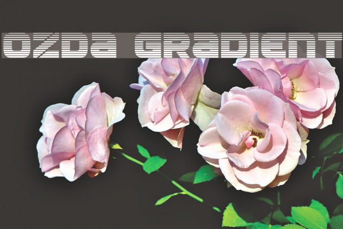 Ozda Gradient Font examples