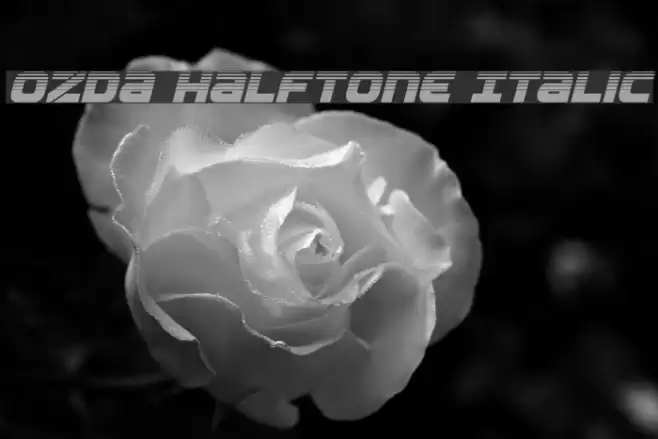 Ozda Halftone Italic Font examples