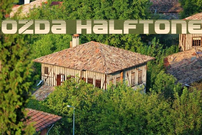Ozda Halftone Example 3