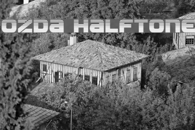 Ozda Halftone Font examples