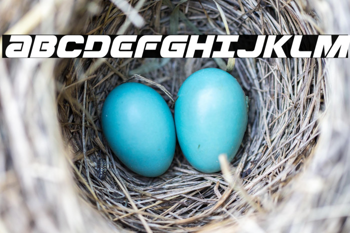 Ozda Italic Example 1