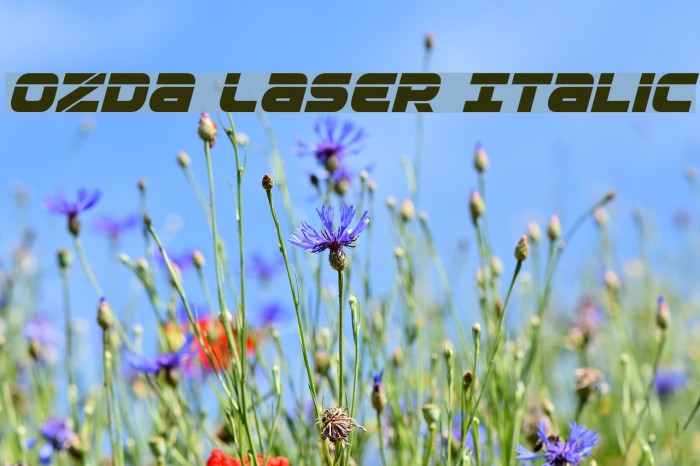 Ozda Laser Italic Font examples
