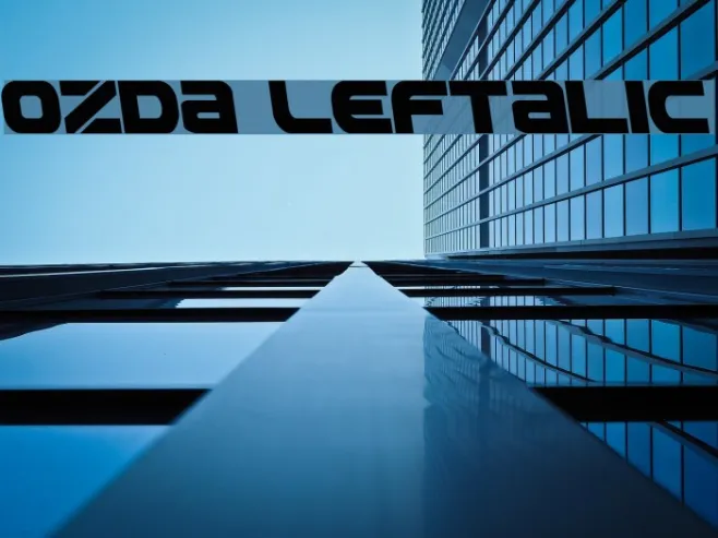 Ozda Leftalic Example 2