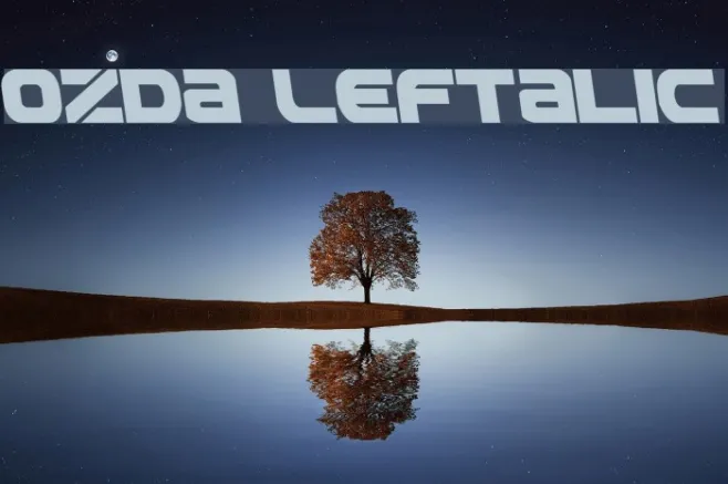 Ozda Leftalic Example 3